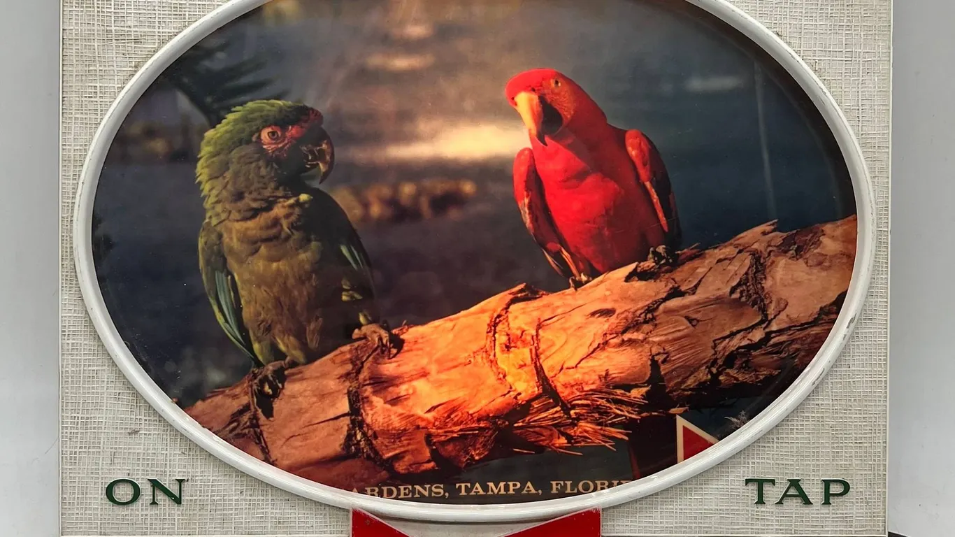 Budweiser Parrot Beer Light Sign On Tap