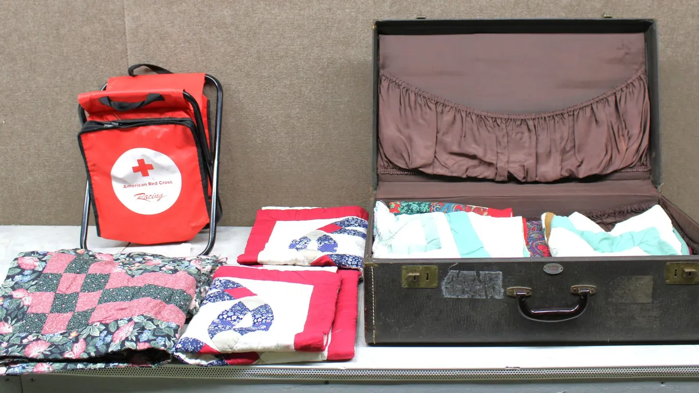 Pillow Covers, Bag, Suitcase
