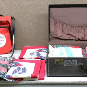 Pillow Covers, Bag, Suitcase