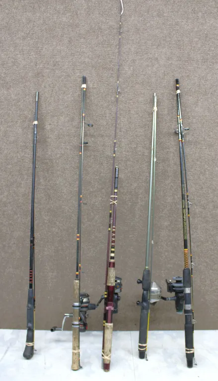 5 Fishing Rods Shimano Daiwa Ugly Stik Mitchell
