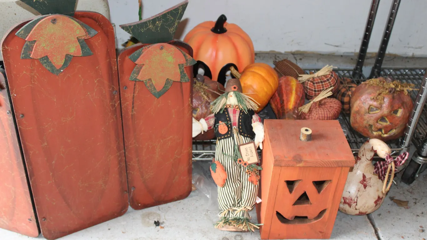 Halloween & Fall Decor