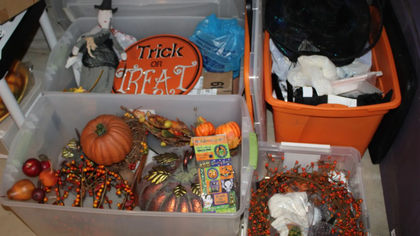 Fall & Halloween Décor