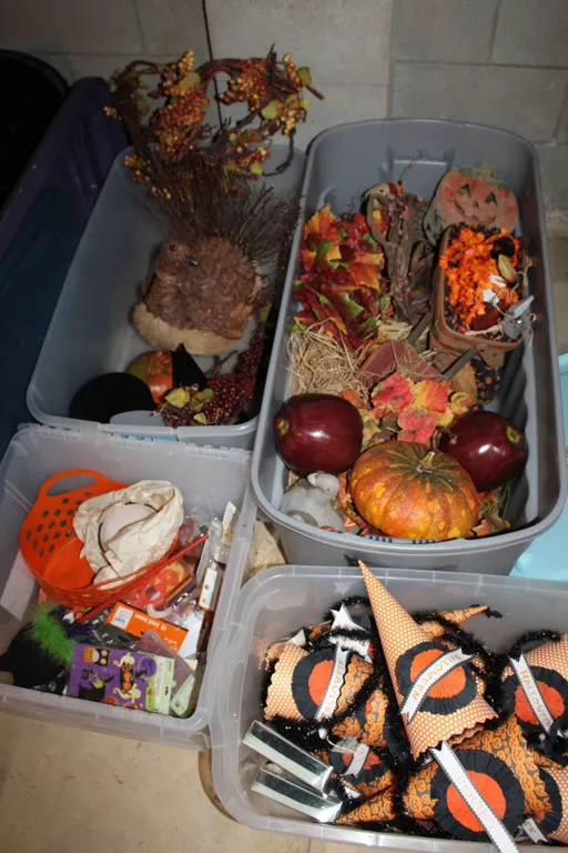 Fall & Halloween Décor