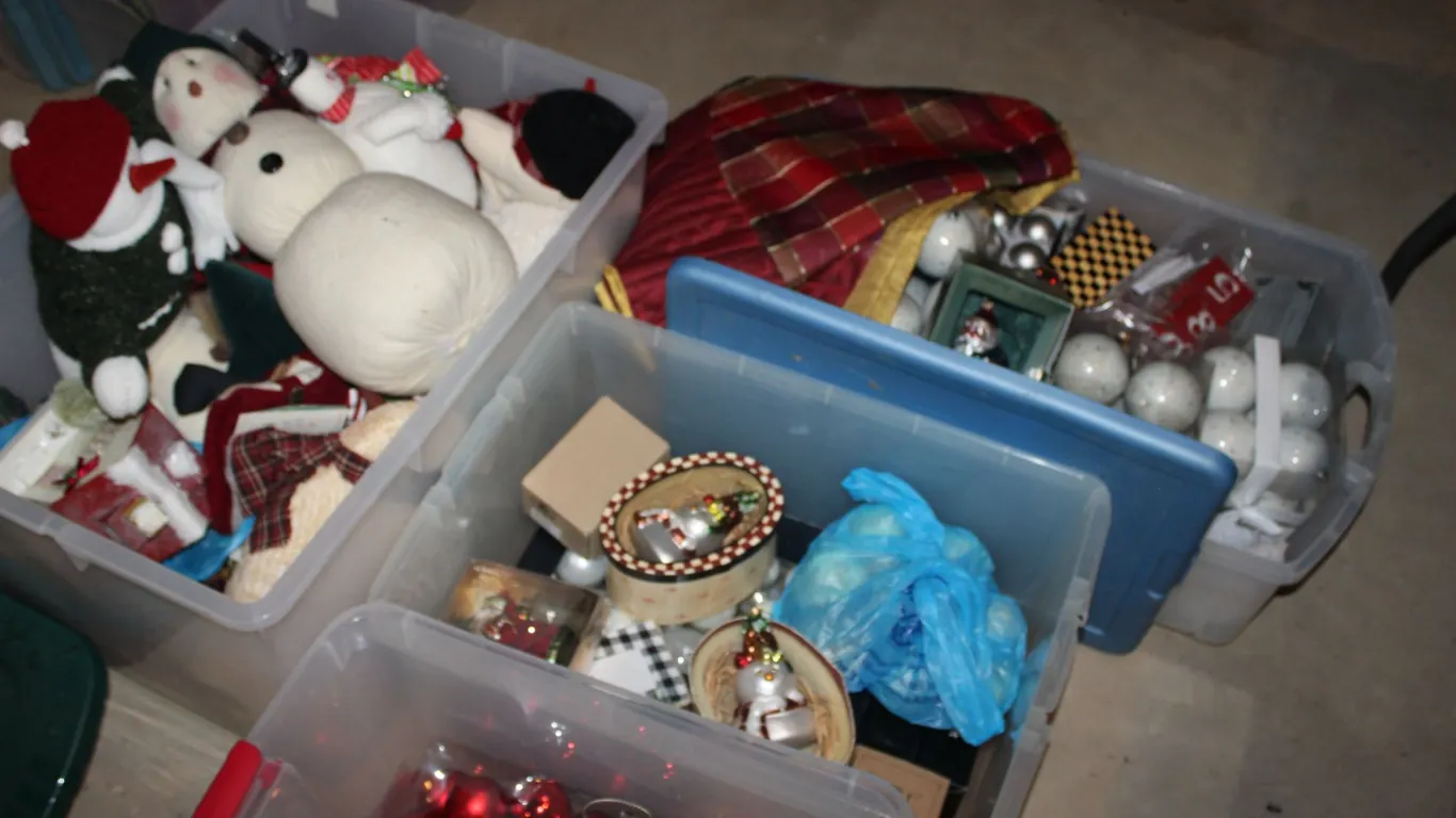 Christmas Ornaments & Décor
