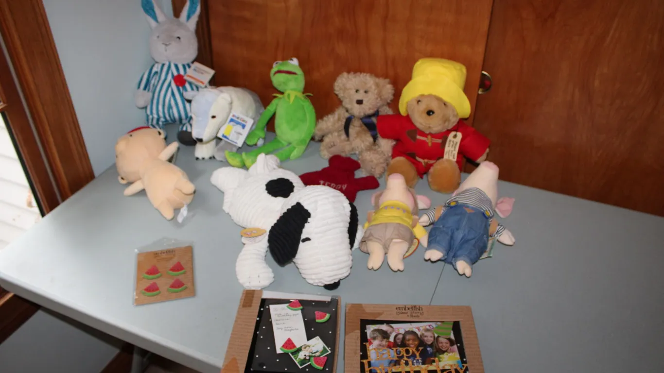 Character Plush & Craft Sets