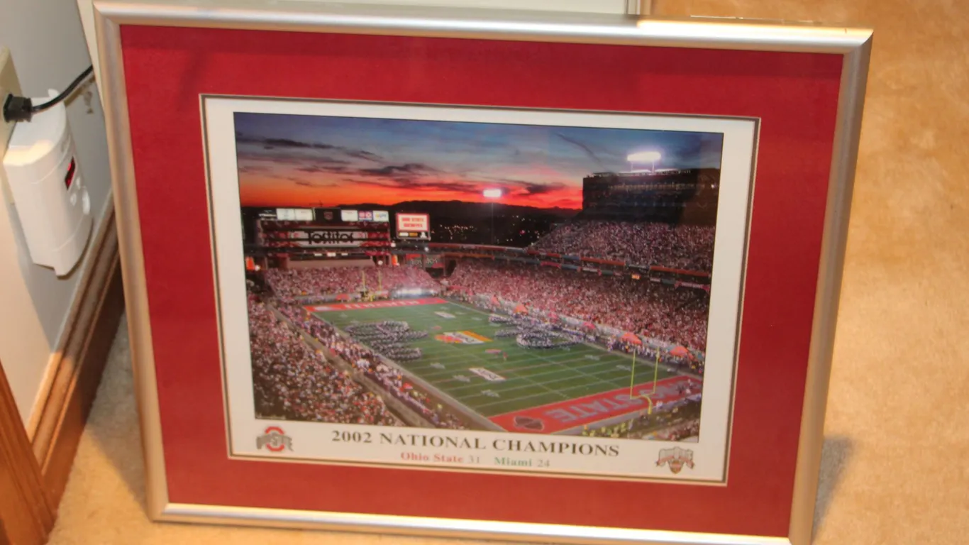 Ohio State Wall Art