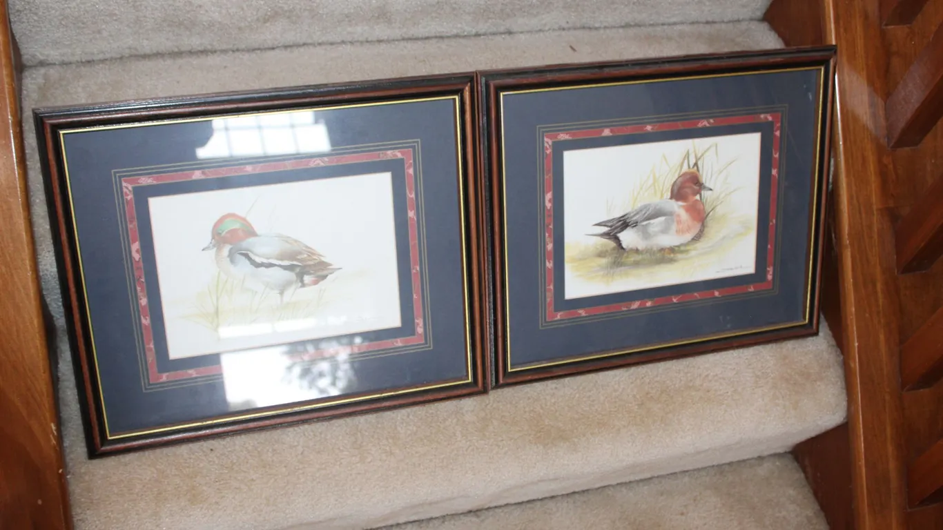 Duck Prints