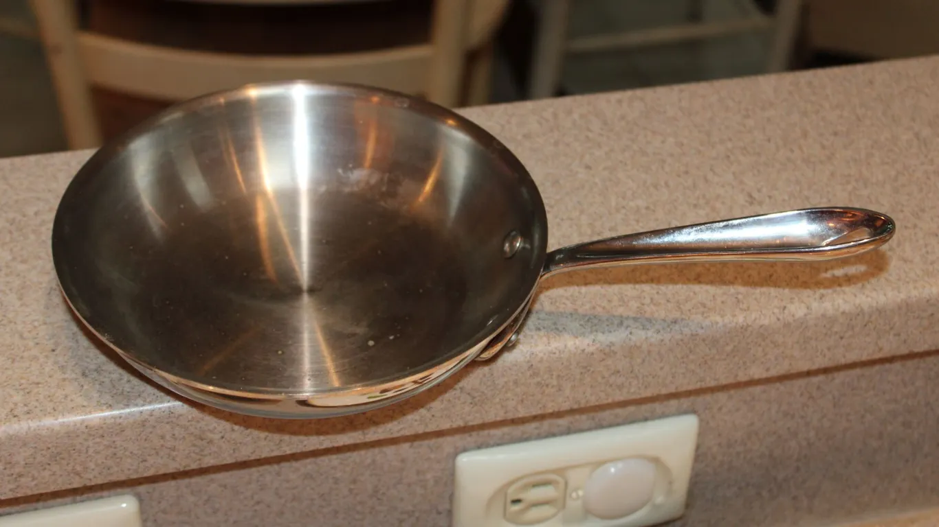 All-Clad Stainless Steel Fry Pan