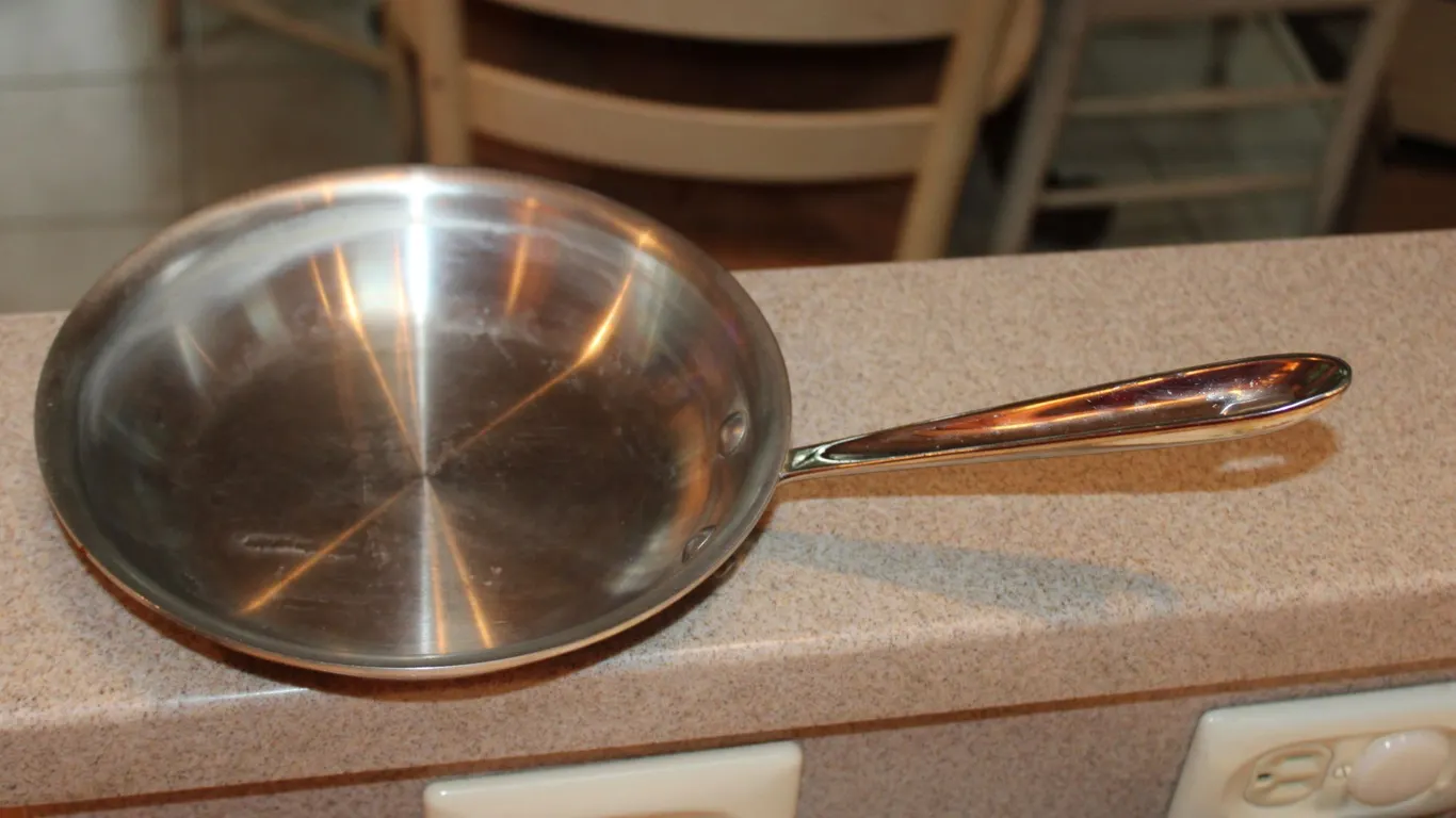 All-Clad Stainless Steel Fry Pan