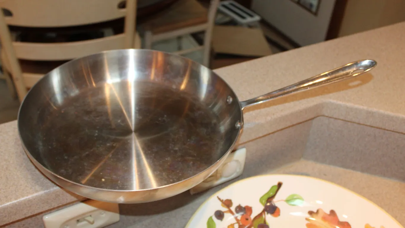 All-Clad Stainless Steel Fry Pan