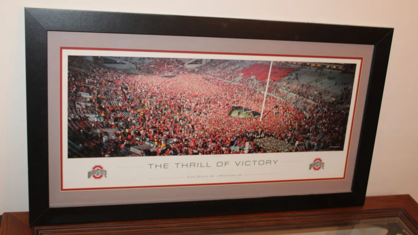 Ohio State Print