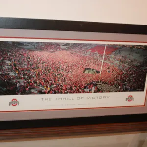Ohio State Print