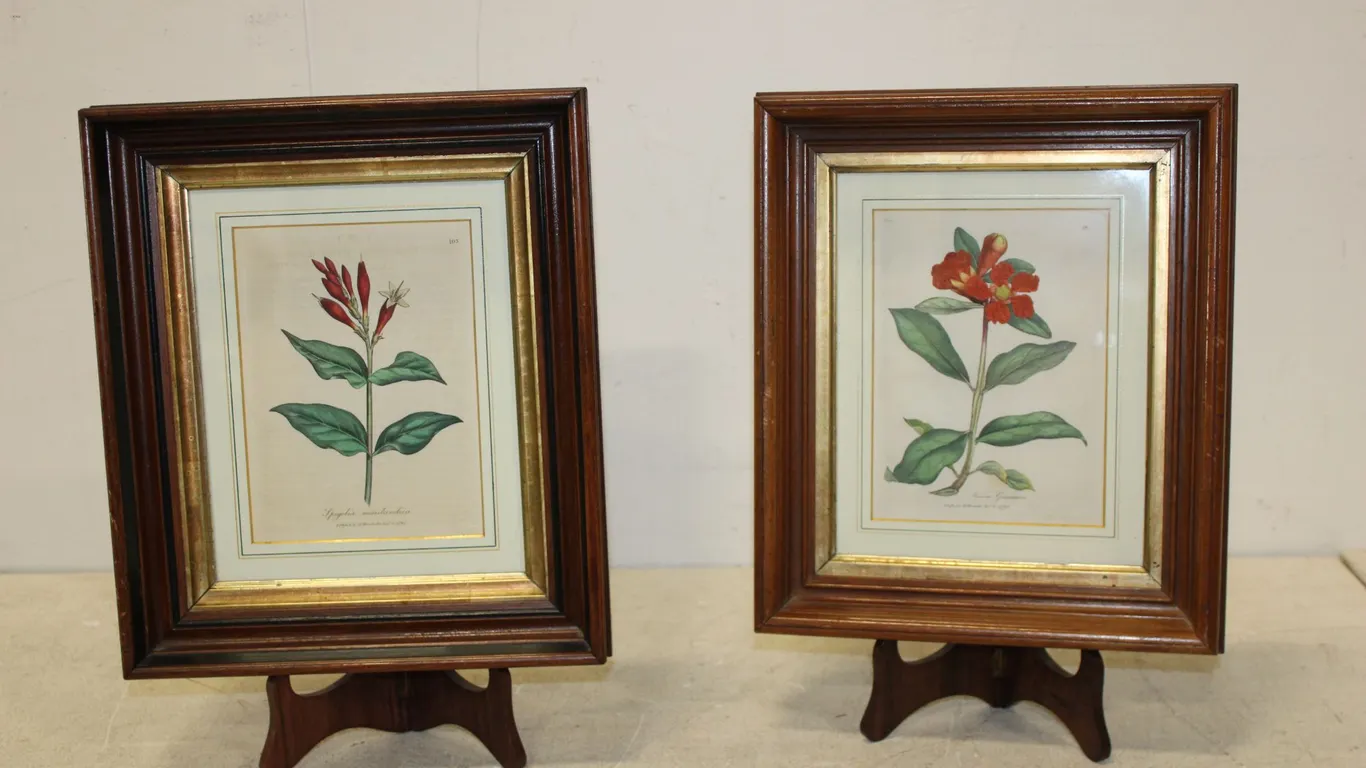 Botanical Prints