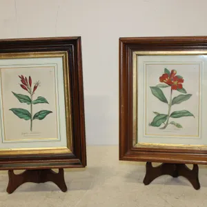 Botanical Prints