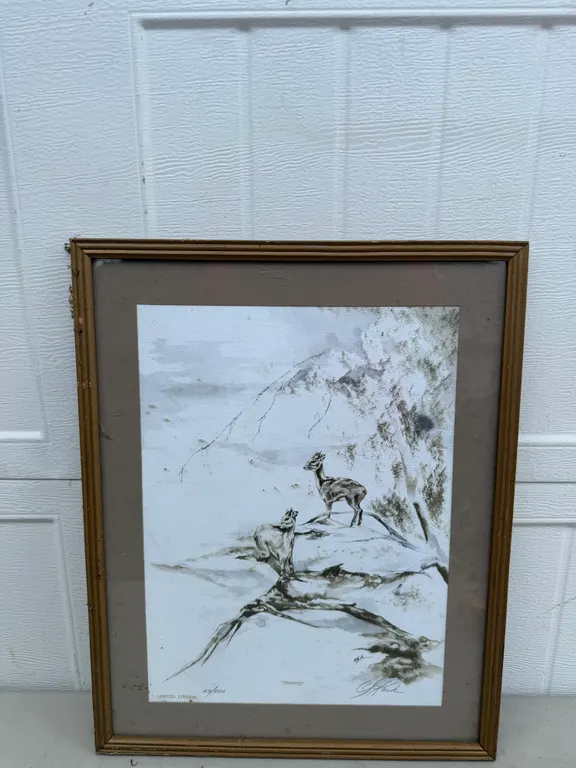 “Trapped” Signed Limited Edition Wildlife Print