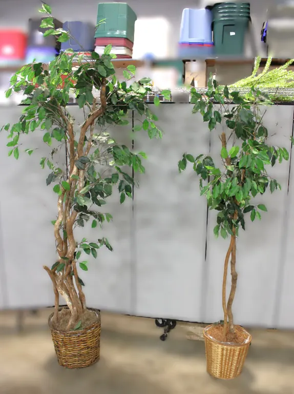 Pair Artificial Trees in Woven Baskets