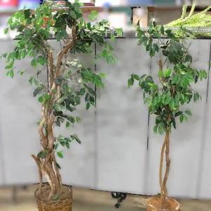 Pair Artificial Trees in Woven Baskets