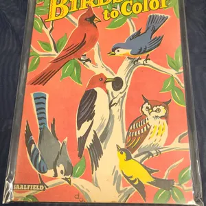 Saalfield Birds to Color Coloring Book Illustrated Cover