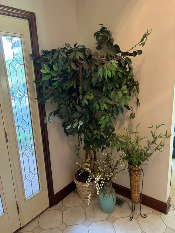 Plant Decor