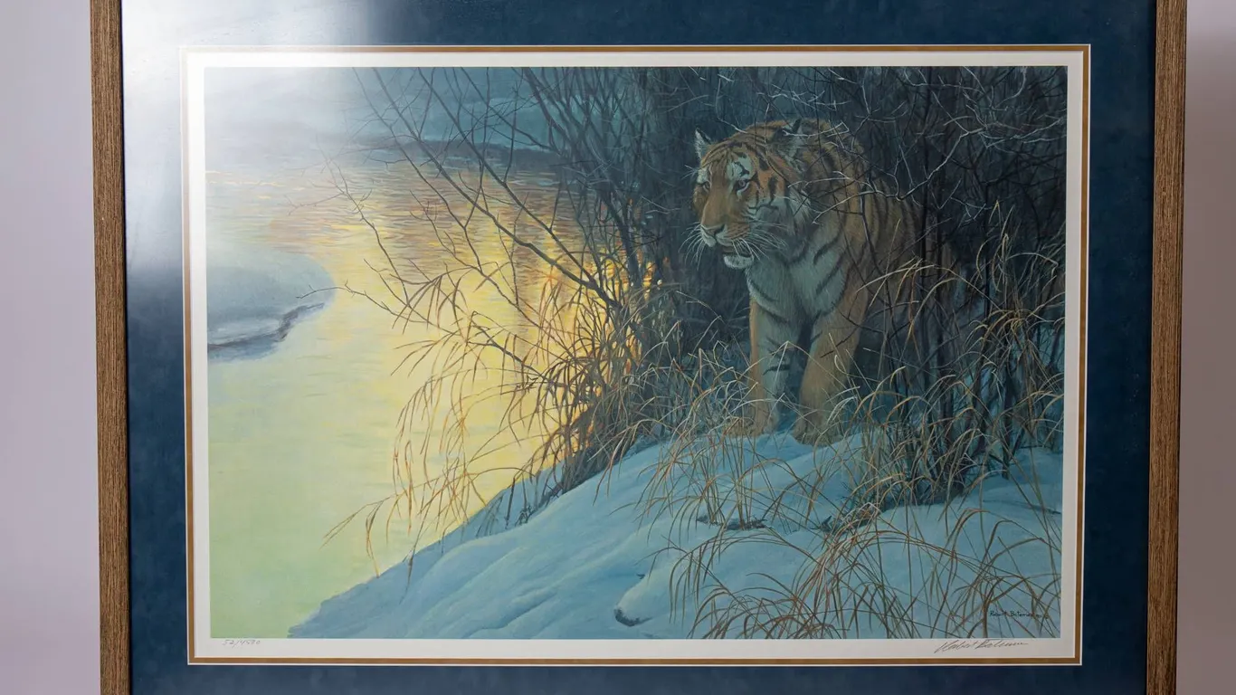 SIBERIAN TIGER REPRODUCTION PRINT BY ROBERT BATEMAN.