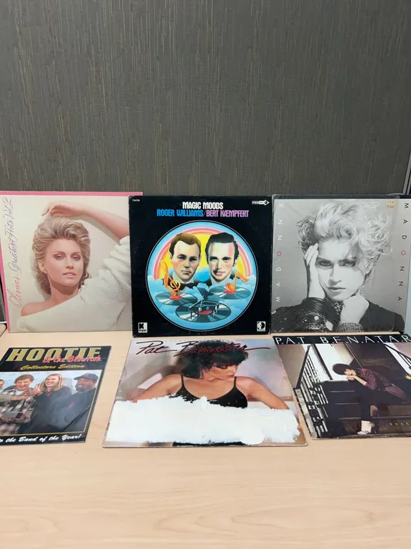 6 Vinyl Records and Hootie Collectors Photo Book