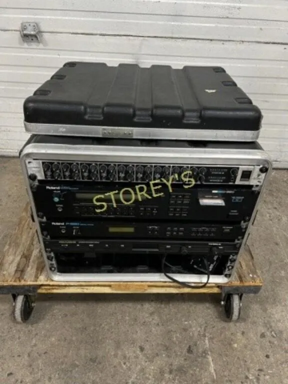 Roland All-in-one Stereo Unit w/ Case