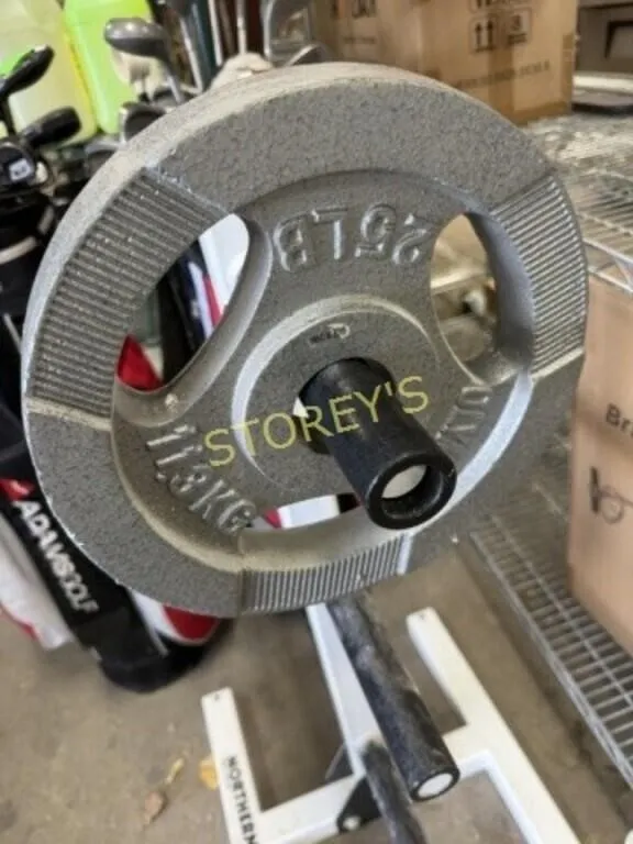 25lbs Plate Weight