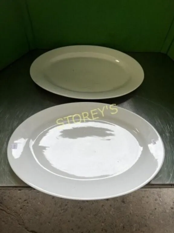 2 LG Platters ~15 x 22