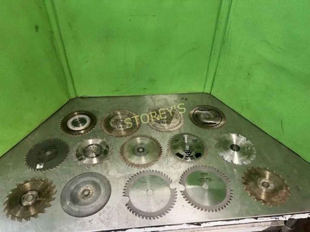 14 Asst Saw Blades