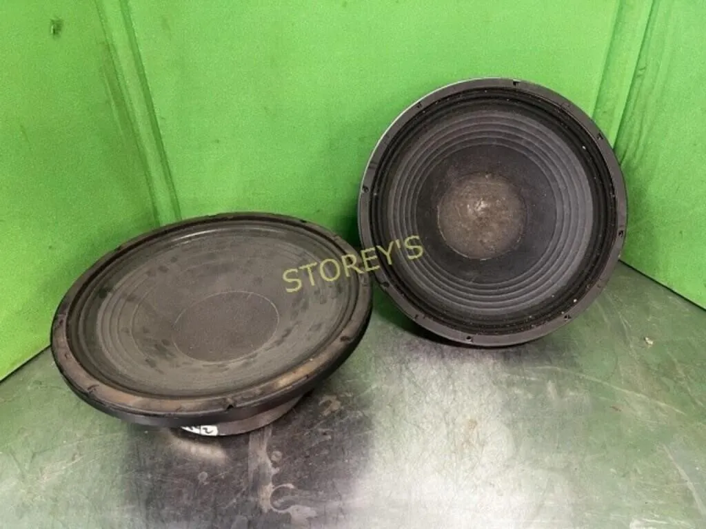 2 Speakers - 15" - As Is