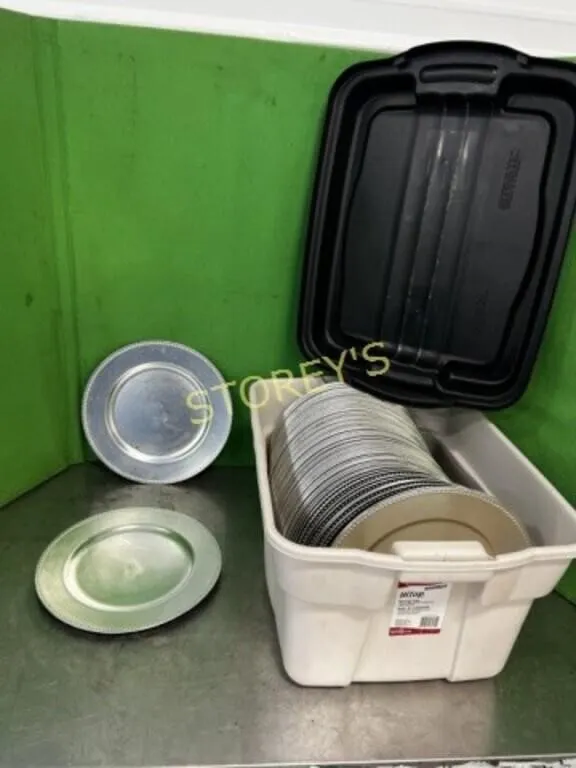 LG Qty of 13" Chargers w/ Tote