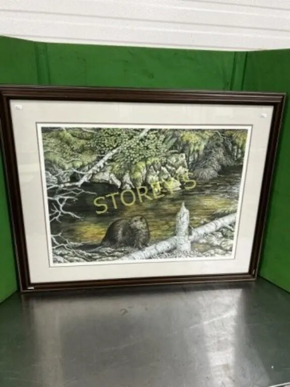 Signed LE Beaver Picture by C Marshall ~39x30