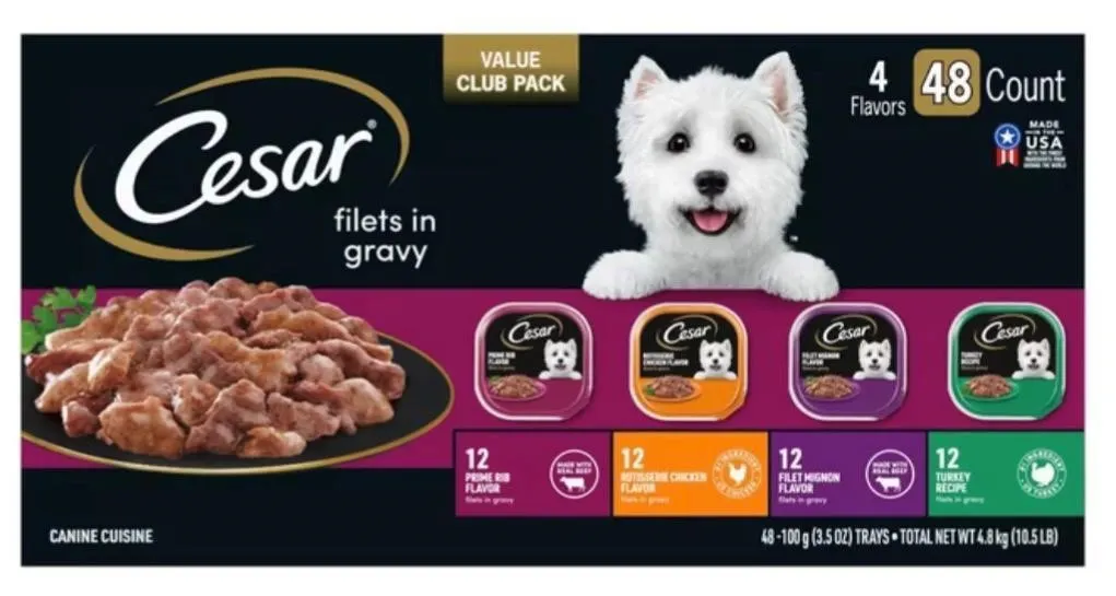 Cesar Filets In Gravy Wet Dog Food 48ct