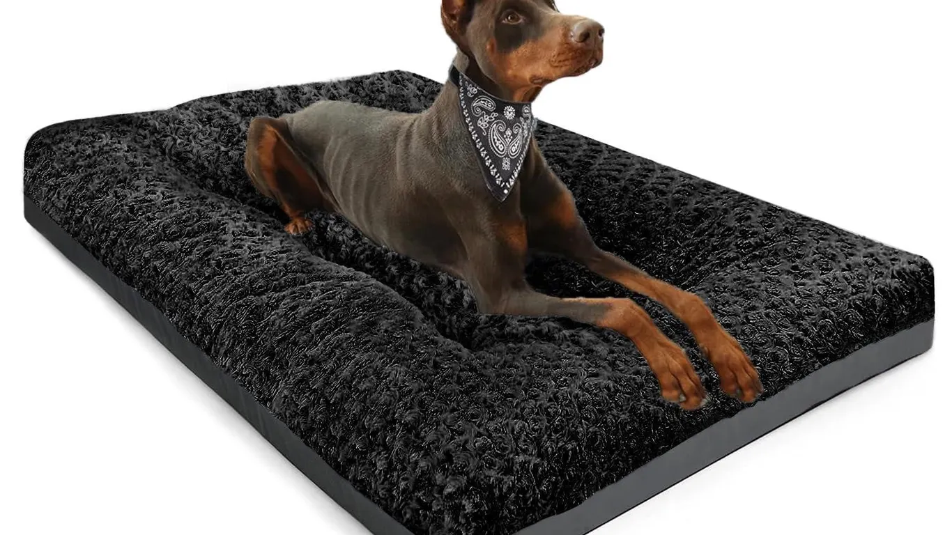 Pocblue Washable Dog Bed 35x23 Black