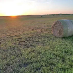 Tract 1 - 160± acres Beckham County