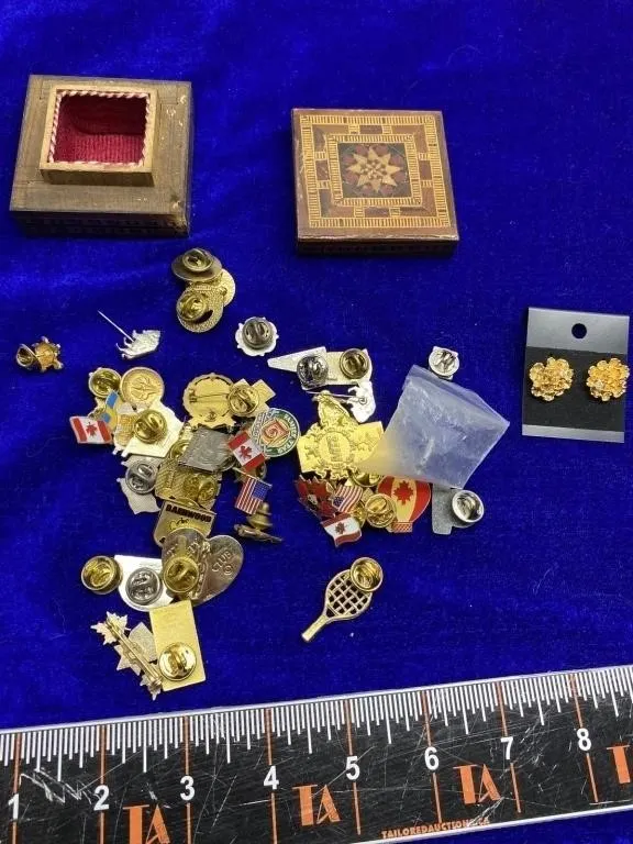 Lapel Pins, Earrings & Trinket Boxes Lot