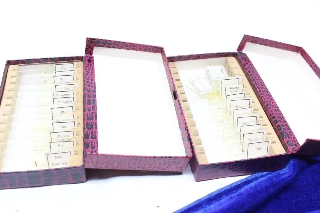 Prepared Microscope Slide Sets: Insects & Textile