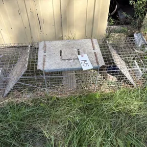 Live Trap