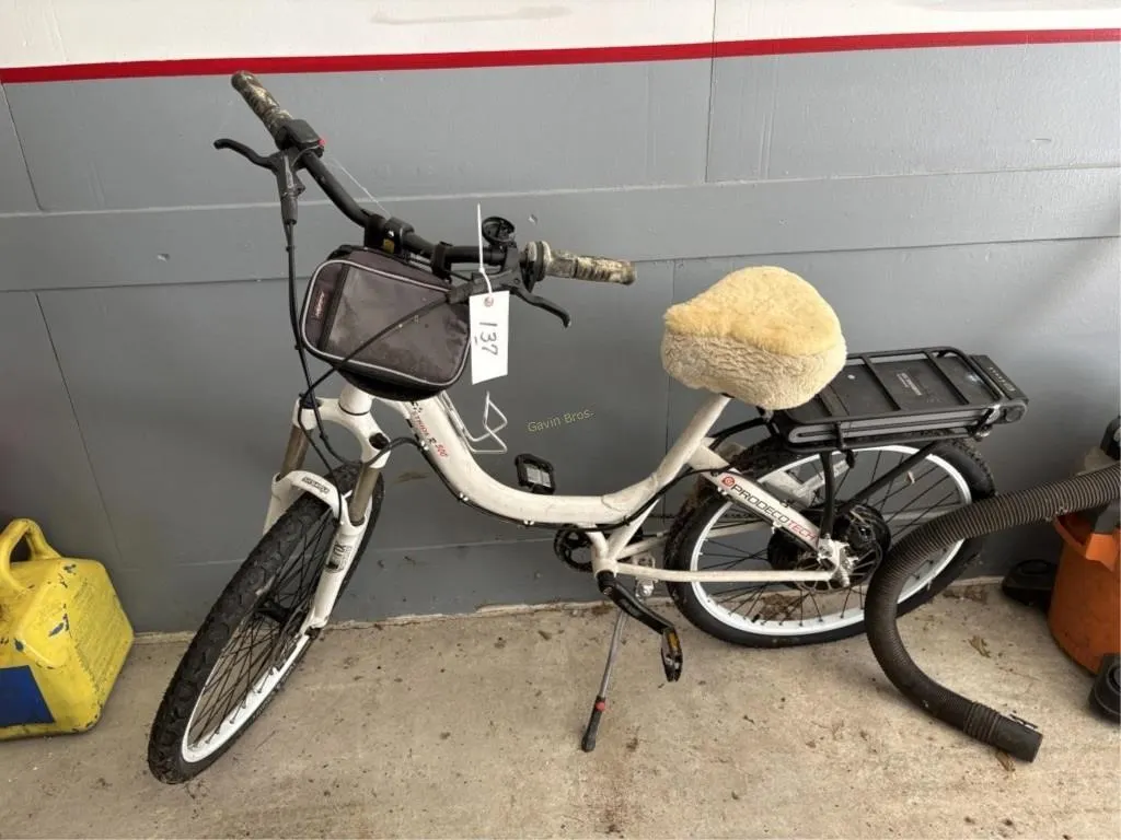 Prodecotech Stride R 500 Electric Bike