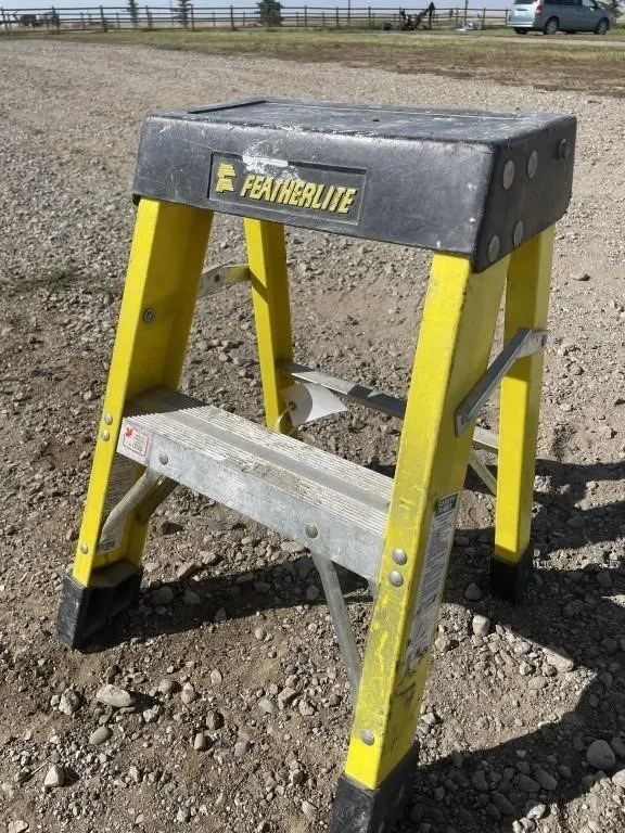 Dolly & 2' Step Stool