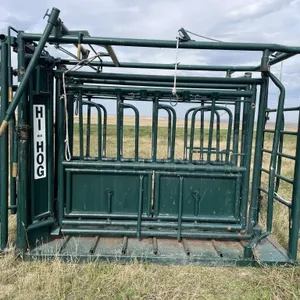 Hi-Hog Cattle Squeeze