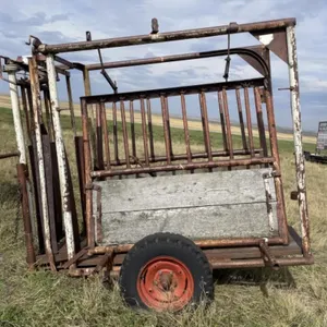 WW Cattle Squeeze On Transport