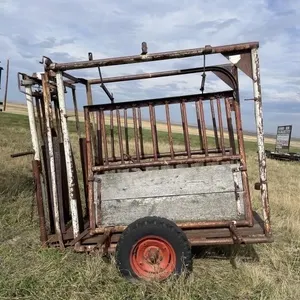 WW Cattle Squeeze On Transport