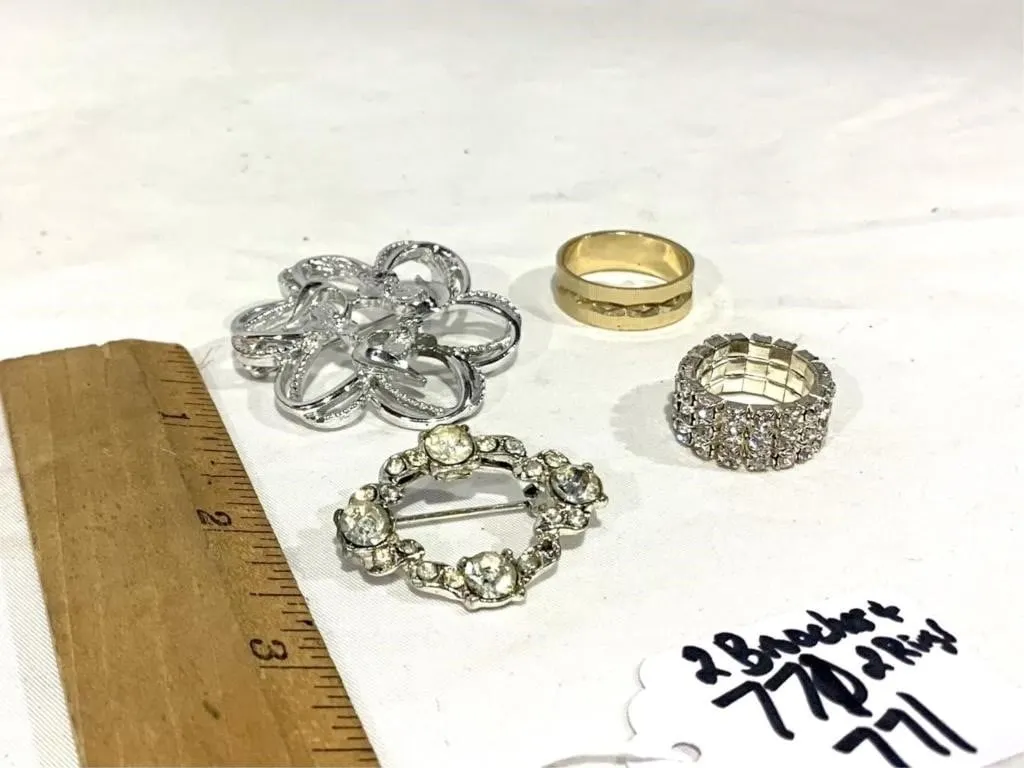 Vingage costume jewelry (2 brooches/pins and 2