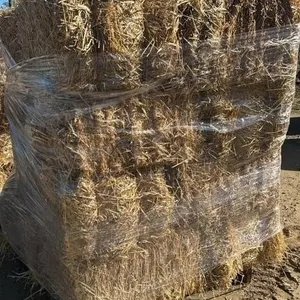 WHEAT STRAW SQUARE BALES (X24)