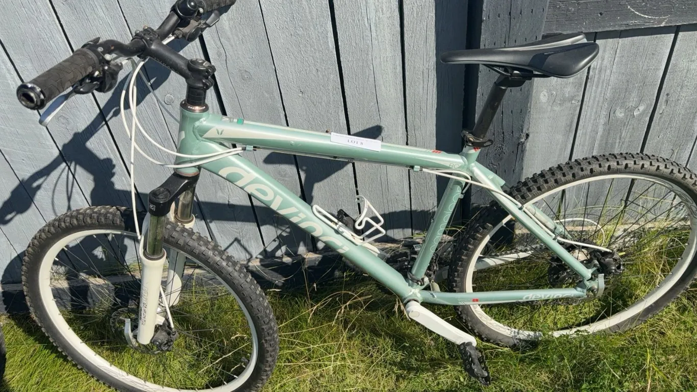 Devinci Chameleon Mountain Bike White/Green