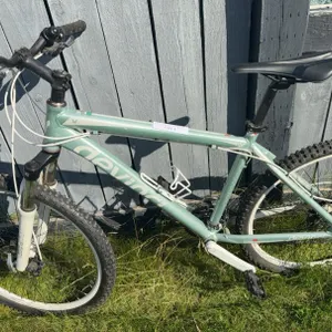 Devinci Chameleon Mountain Bike White/Green