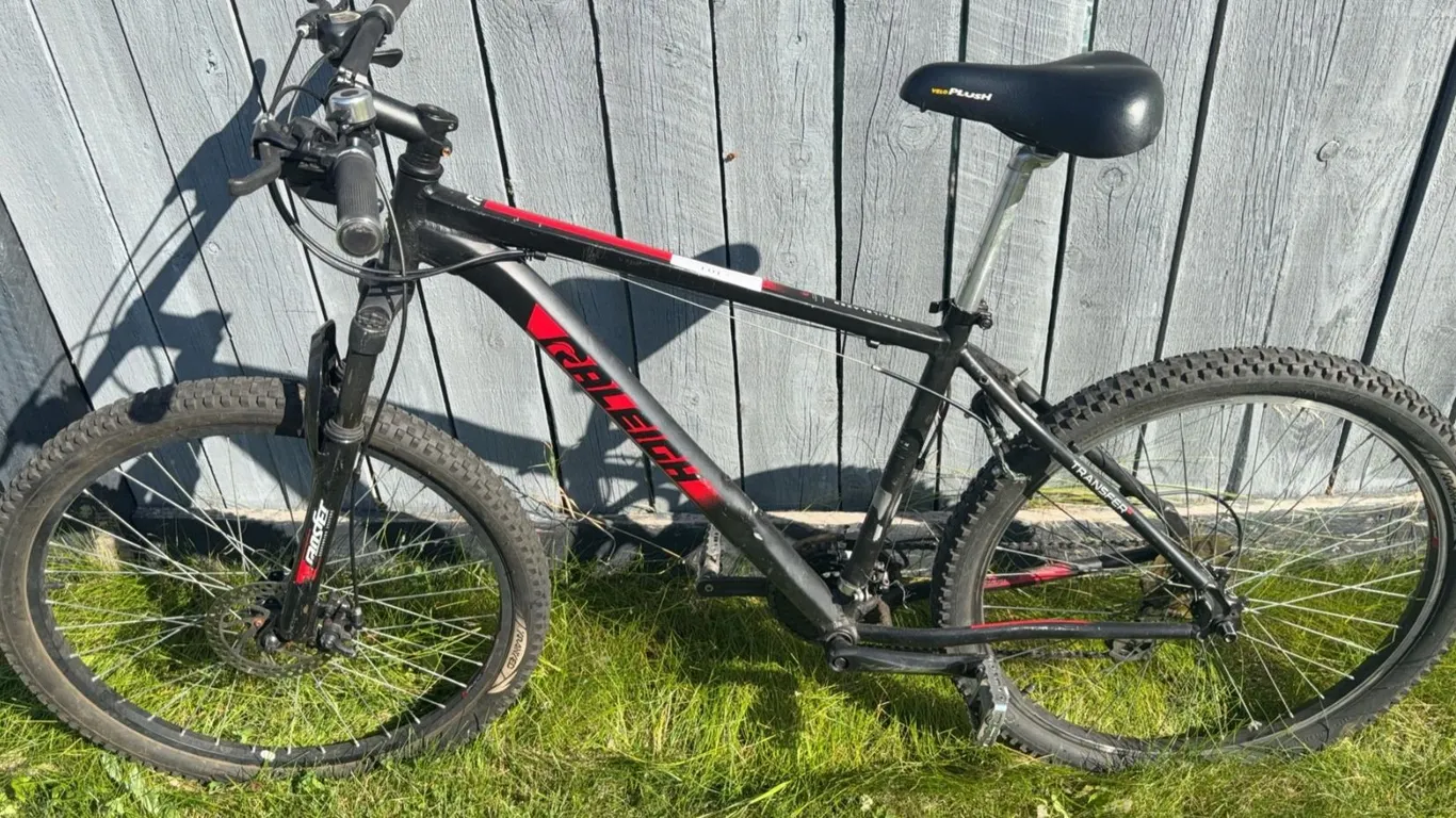 Raleigh Transfer Black Mountain Bike