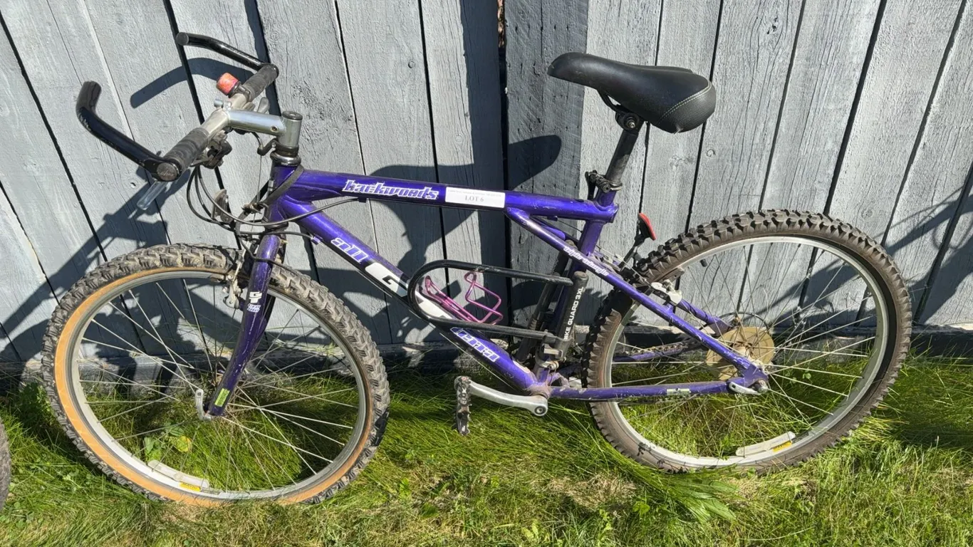GT Backwoods 21-Speed Mountain Bike Purple