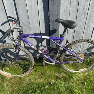 GT Backwoods 21-Speed Mountain Bike Purple